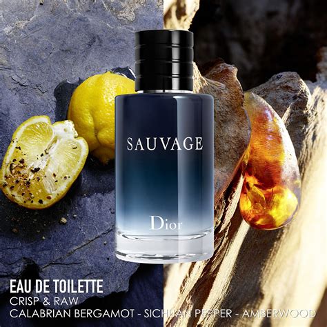 dior promised land|dior's sauvage.